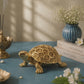Decorative Tortoise Showpiece with Floral Shell | Antique Brass Finish